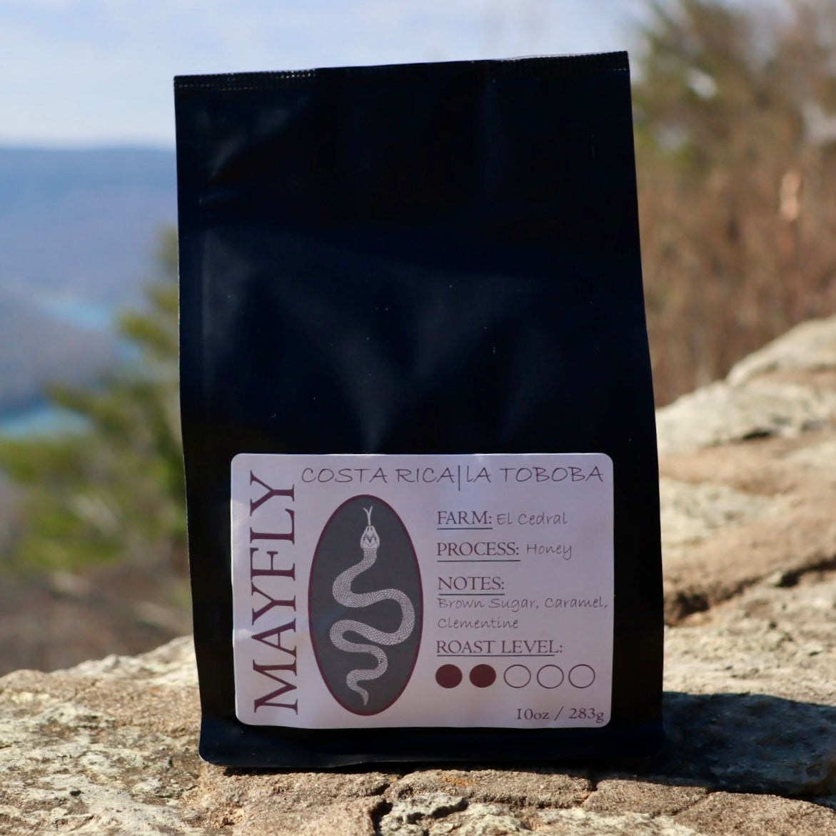 Costa Rica | La Toboba