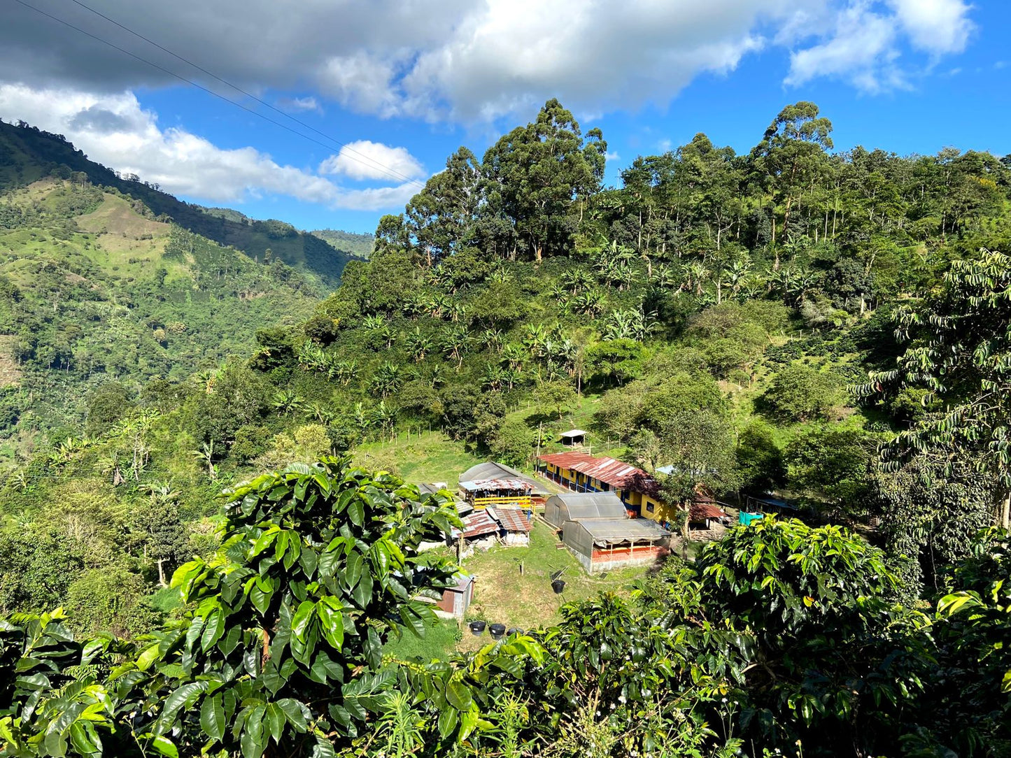 COLOMBIA | JAIRO HUMBERTO LOPEZ