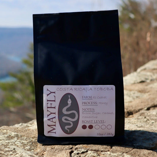 Costa Rica | La Toboba