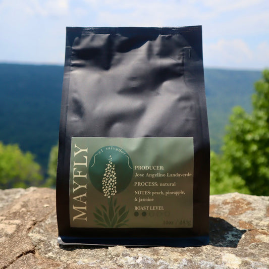 El Salvador | Jose Angelino Landaverde - Mayfly Coffee