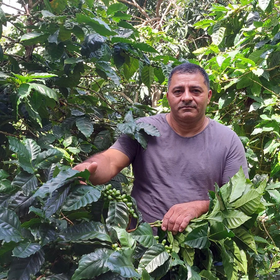 El Salvador | Jose Angelino Landaverde