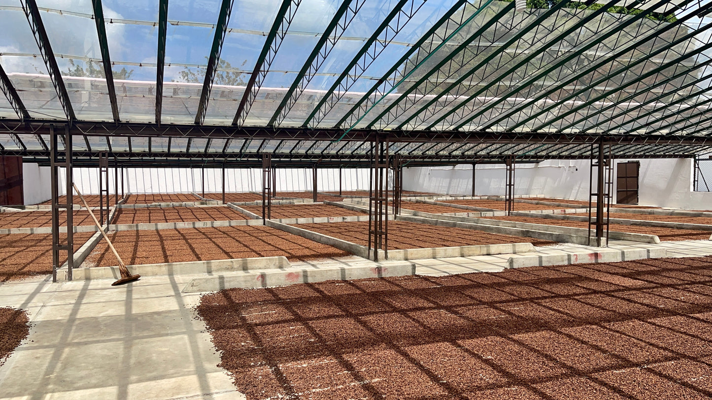 Colombia | Sebastian Ramirez Pink Bourbon