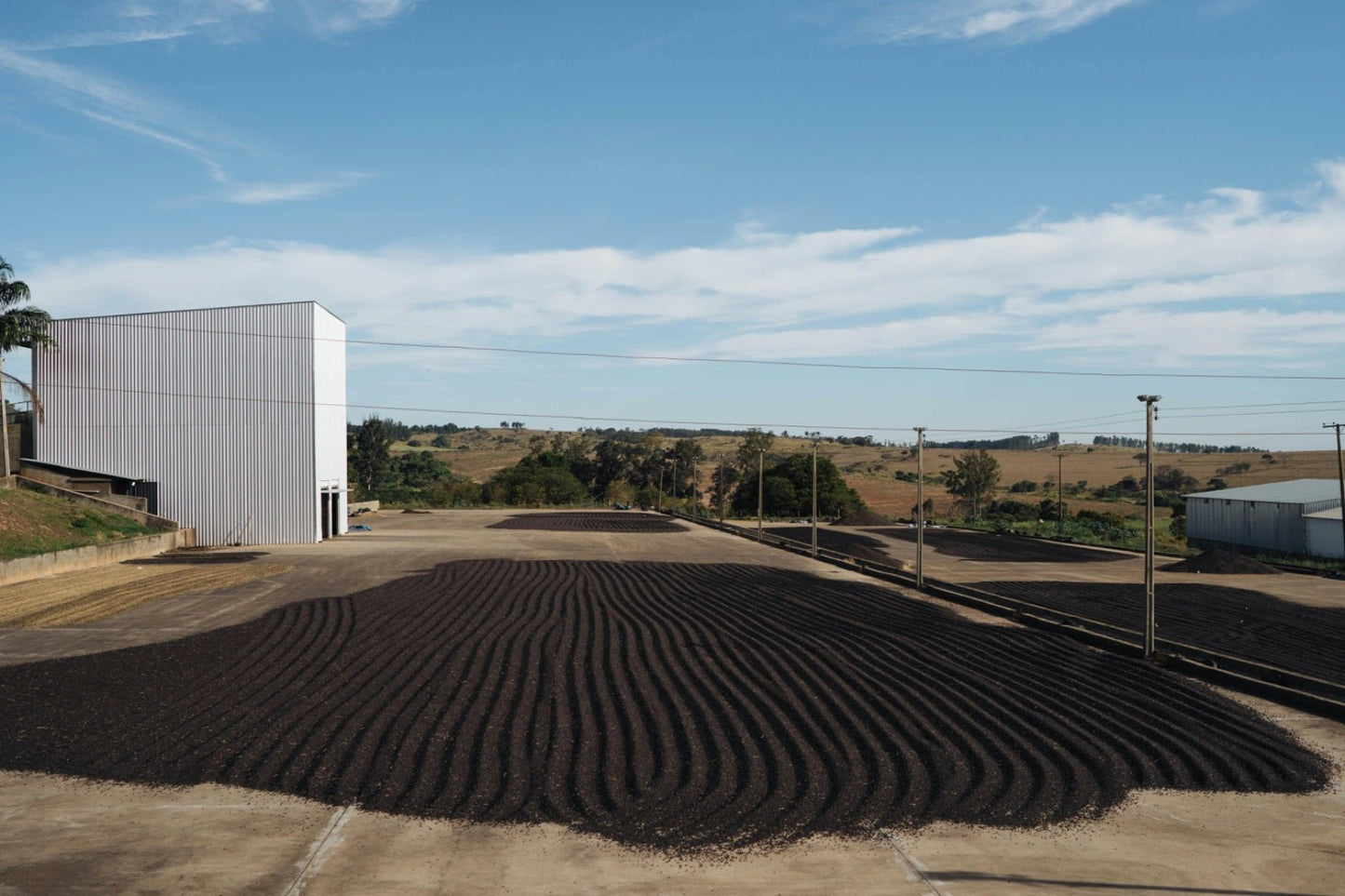 Ascent | Brazil - Mayfly Coffee